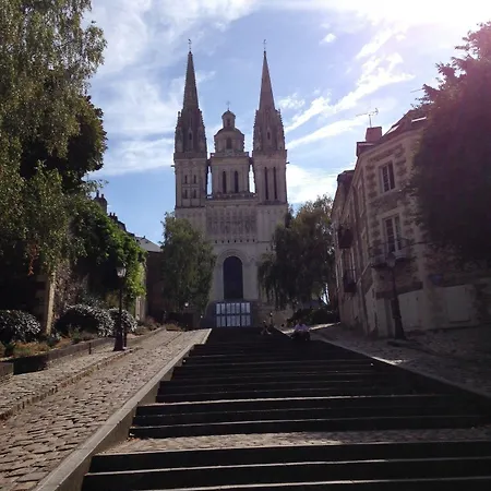 Le Progres 3* 앙제