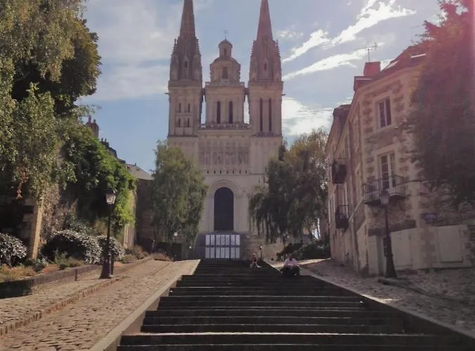 Le Progres فندق أنجير